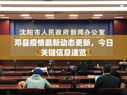 邓县疫情最新动态更新，今日关键信息速览