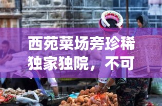 西苑菜场旁珍稀独家独院，不可错过的生活盛宴