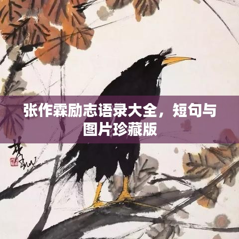 张作霖励志语录大全，短句与图片珍藏版