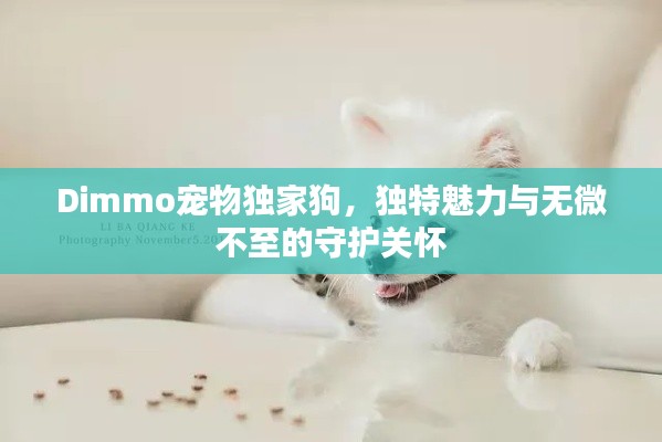 Dimmo宠物独家狗，独特魅力与无微不至的守护关怀
