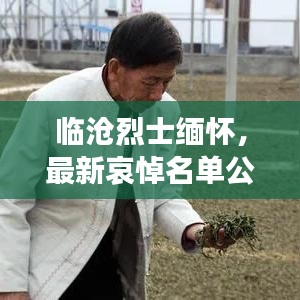 临沧烈士缅怀，最新哀悼名单公布
