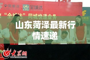 山东菏泽最新行情速递