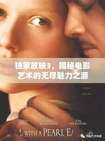 独家放映3，揭秘电影艺术的无尽魅力之源