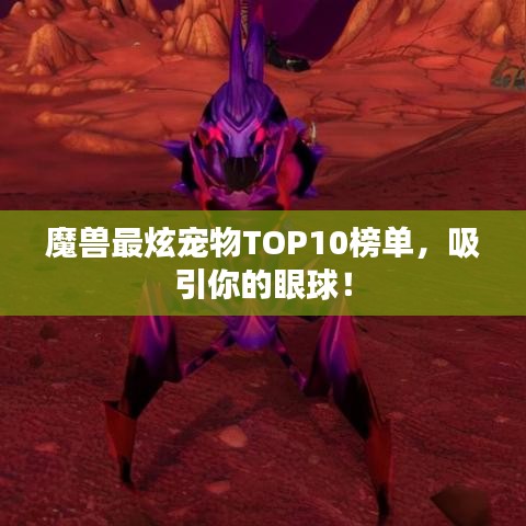 魔兽最炫宠物TOP10榜单，吸引你的眼球！