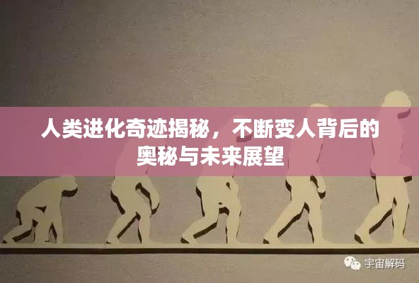 人类进化奇迹揭秘，不断变人背后的奥秘与未来展望