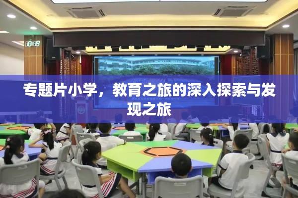 专题片小学，教育之旅的深入探索与发现之旅