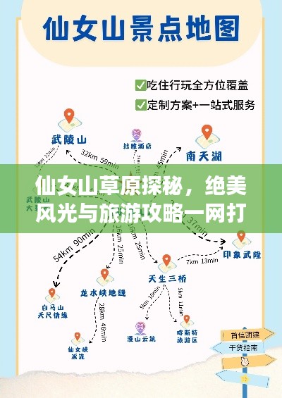 仙女山草原探秘，绝美风光与旅游攻略一网打尽！