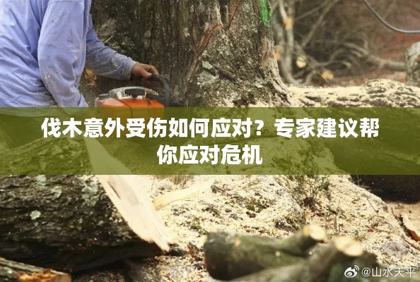 伐木意外受伤如何应对？专家建议帮你应对危机