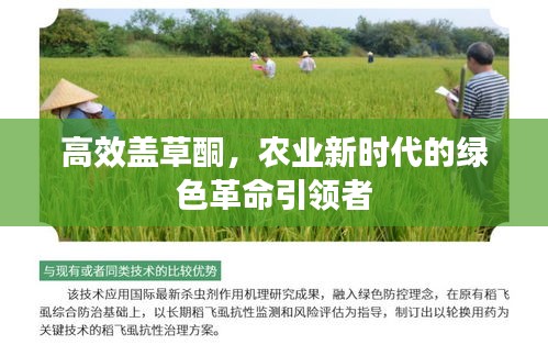 高效盖草酮，农业新时代的绿色革命引领者