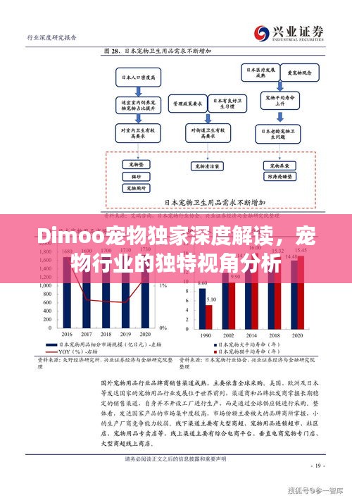 Dimoo宠物独家深度解读，宠物行业的独特视角分析