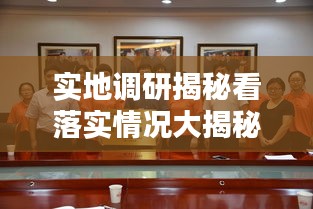 实地调研揭秘看落实情况大揭秘！