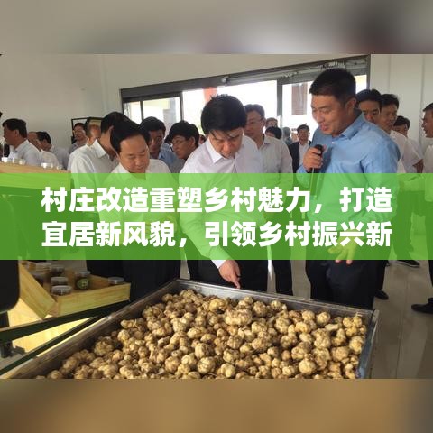 村庄改造重塑乡村魅力，打造宜居新风貌，引领乡村振兴新篇章
