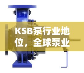 KSB泵行业地位，全球泵业排名揭秘