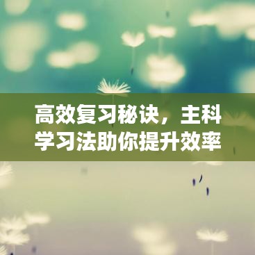 高效复习秘诀，主科学习法助你提升效率飞跃！