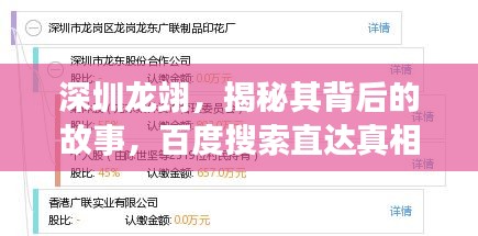 深圳龙翊，揭秘其背后的故事，百度搜索直达真相！