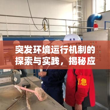 突发环境运行机制的探索与实践，揭秘应对环境挑战的新路径