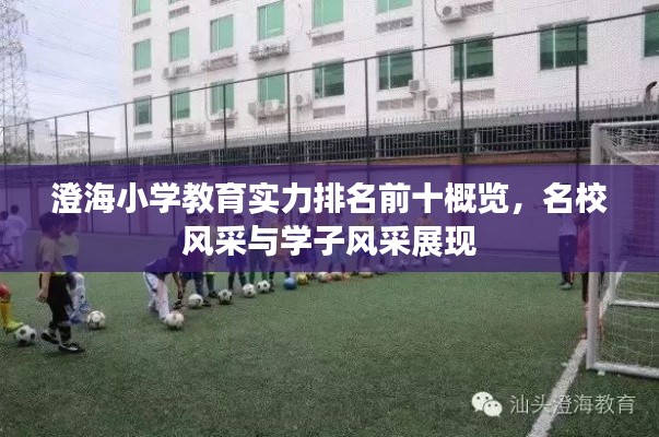 澄海小学教育实力排名前十概览，名校风采与学子风采展现