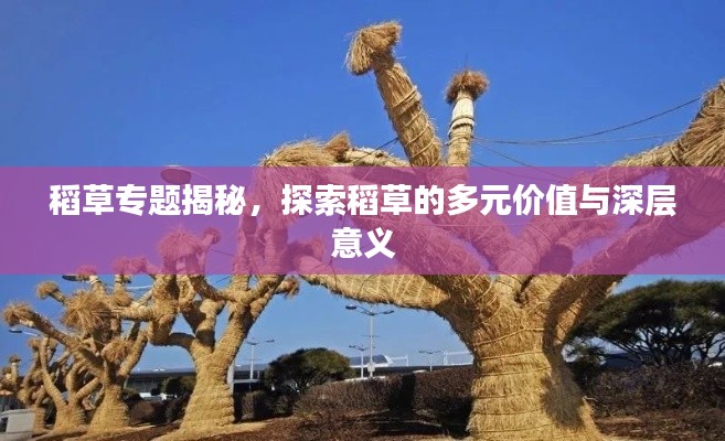 稻草专题揭秘，探索稻草的多元价值与深层意义