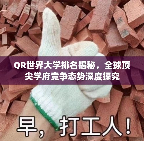 QR世界大学排名揭秘，全球顶尖学府竞争态势深度探究