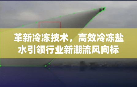 革新冷冻技术，高效冷冻盐水引领行业新潮流风向标