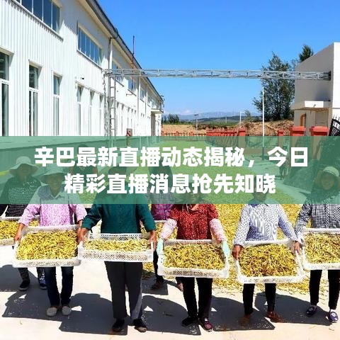 辛巴最新直播动态揭秘，今日精彩直播消息抢先知晓
