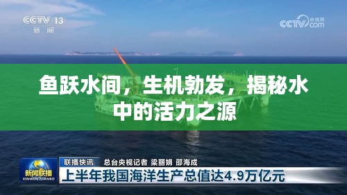 鱼跃水间，生机勃发，揭秘水中的活力之源