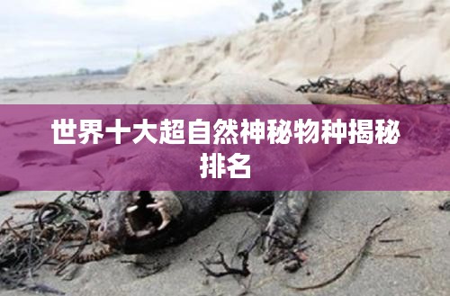 世界十大超自然神秘物种揭秘排名