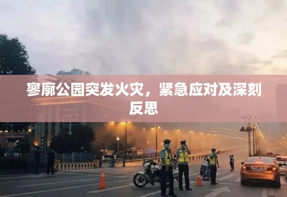 寥廓公园突发火灾，紧急应对及深刻反思
