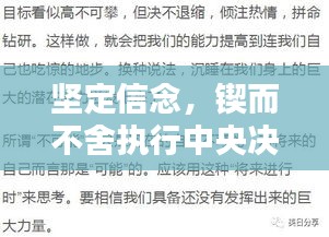 坚定信念，锲而不舍执行中央决策，共创辉煌未来