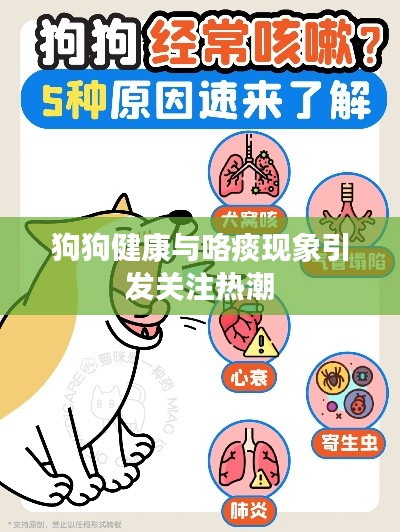 狗狗健康与咯痰现象引发关注热潮