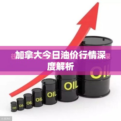 加拿大今日油价行情深度解析