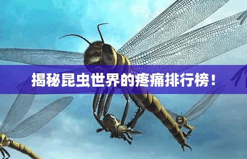 揭秘昆虫世界的疼痛排行榜！