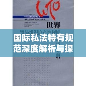 国际私法特有规范深度解析与探索