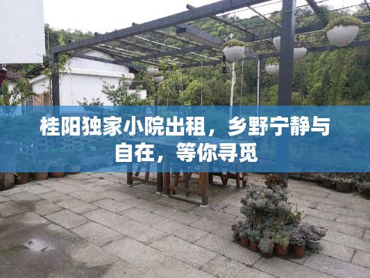 桂阳独家小院出租，乡野宁静与自在，等你寻觅