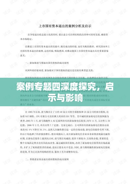 案例专题四深度探究，启示与影响