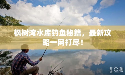 枫树湾水库钓鱼秘籍，最新攻略一网打尽！