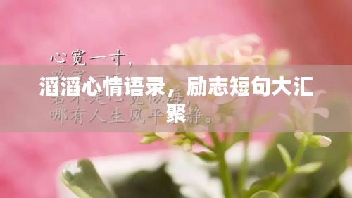 滔滔心情语录，励志短句大汇聚