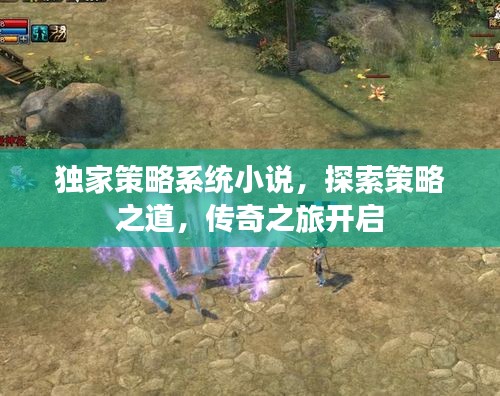 独家策略系统小说，探索策略之道，传奇之旅开启
