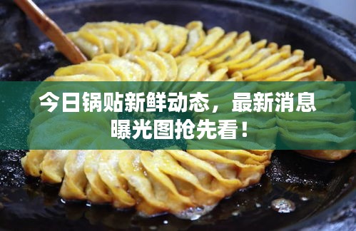 今日锅贴新鲜动态，最新消息曝光图抢先看！
