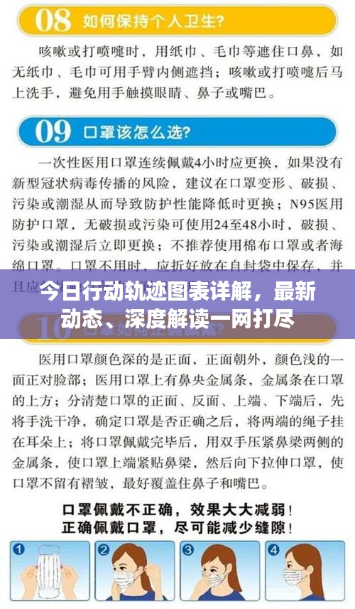今日行动轨迹图表详解，最新动态、深度解读一网打尽