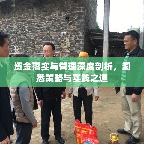 资金落实与管理深度剖析，洞悉策略与实践之道