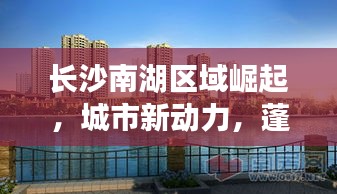 长沙南湖区域崛起，城市新动力，蓬勃发展的新闻头条
