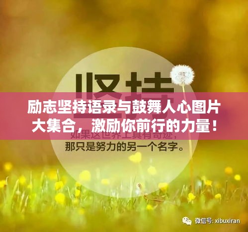 励志坚持语录与鼓舞人心图片大集合，激励你前行的力量！