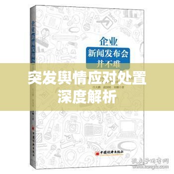 突发舆情应对处置深度解析