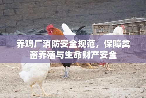 养鸡厂消防安全规范，保障禽畜养殖与生命财产安全