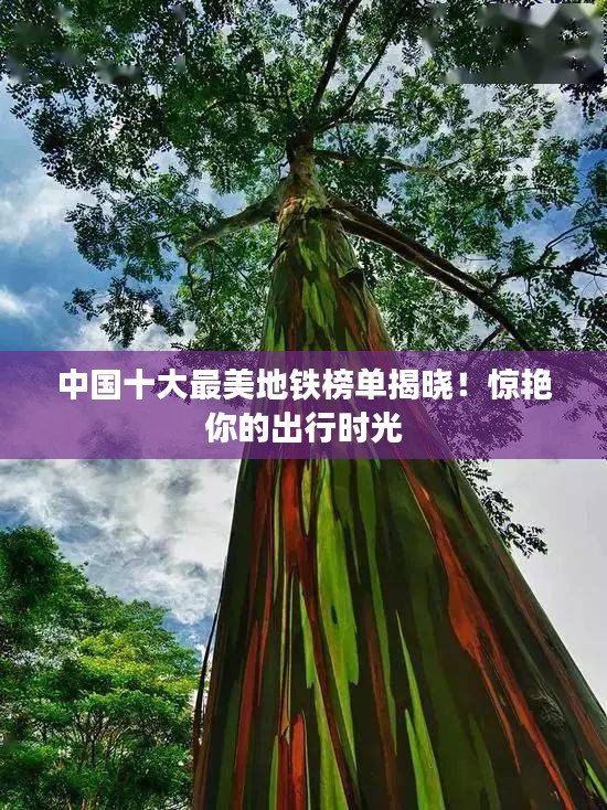 中国十大最美地铁榜单揭晓！惊艳你的出行时光