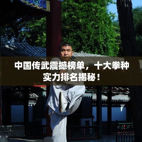 中国传武震撼榜单，十大拳种实力排名揭秘！