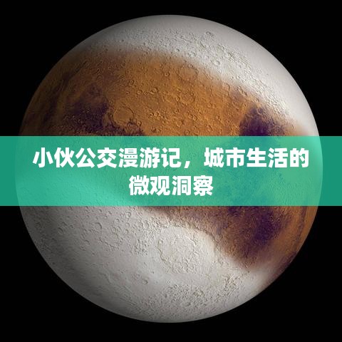 小伙公交漫游记，城市生活的微观洞察