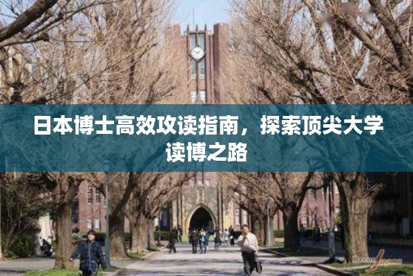 日本博士高效攻读指南，探索顶尖大学读博之路