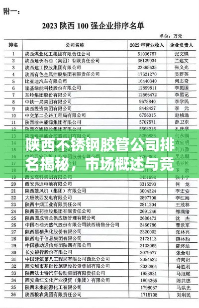 陕西不锈钢胶管公司排名揭秘，市场概述与竞争力分析